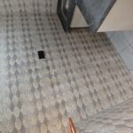 20989532-8d10-44fa-9e37-e11696340123