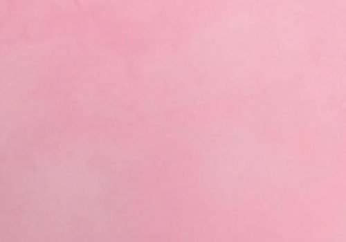 Style-envie-BANNER-CLEAR