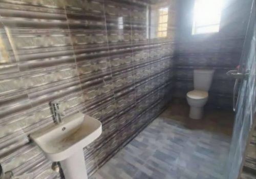 d5b37418-49a5-4a1e-adea-617faee8b2f2