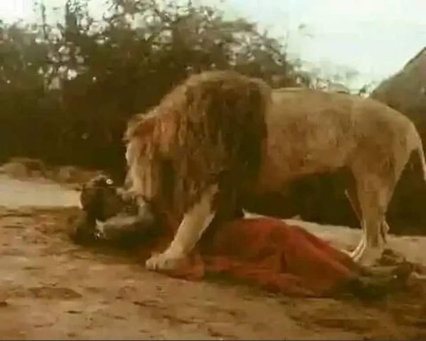 main-qimg-78272c0f0189012c7314a7bdd7b40fc7